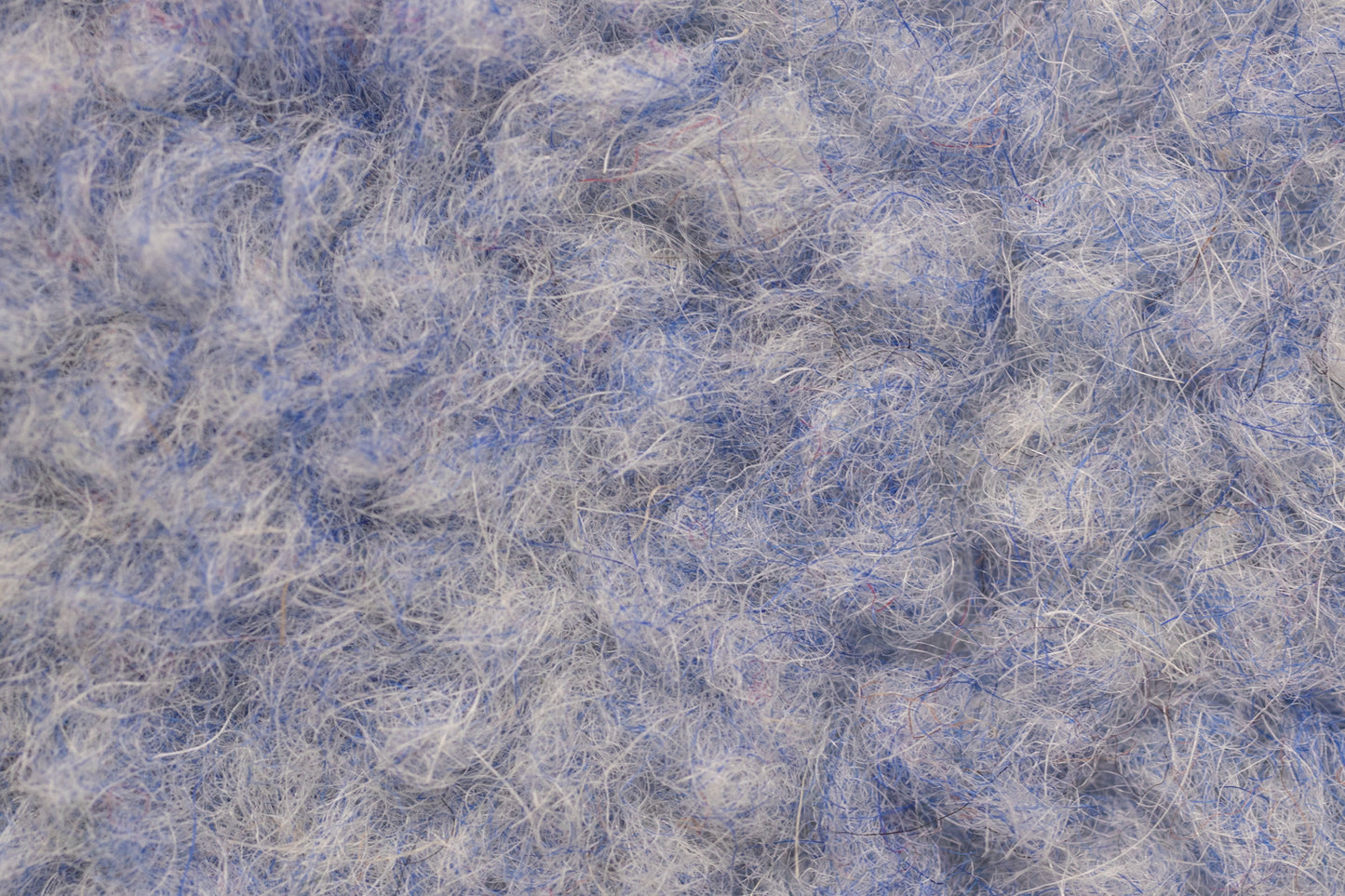 BARANEK TEDDY WEŁNA MERINO - CHABER JASNY